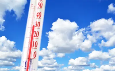 Offizielle Hitzewarnung des Landes Niederösterreich